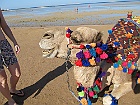 IMG 3147