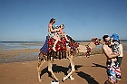 IMG 4912
