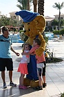 IMG 4992
