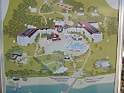 IMG 2370