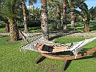 IMG 2383