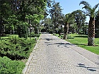 IMG 2403