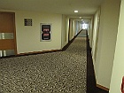 IMG 2407