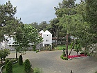 IMG 2433