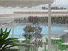 IMG 2436