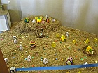 IMG 2450