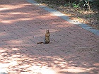 IMG 2453