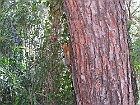 IMG 2454