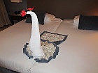 IMG 1017