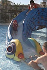 IMG 4900