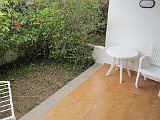 IMG 2711