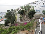 IMG 2714