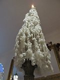 IMG 2746